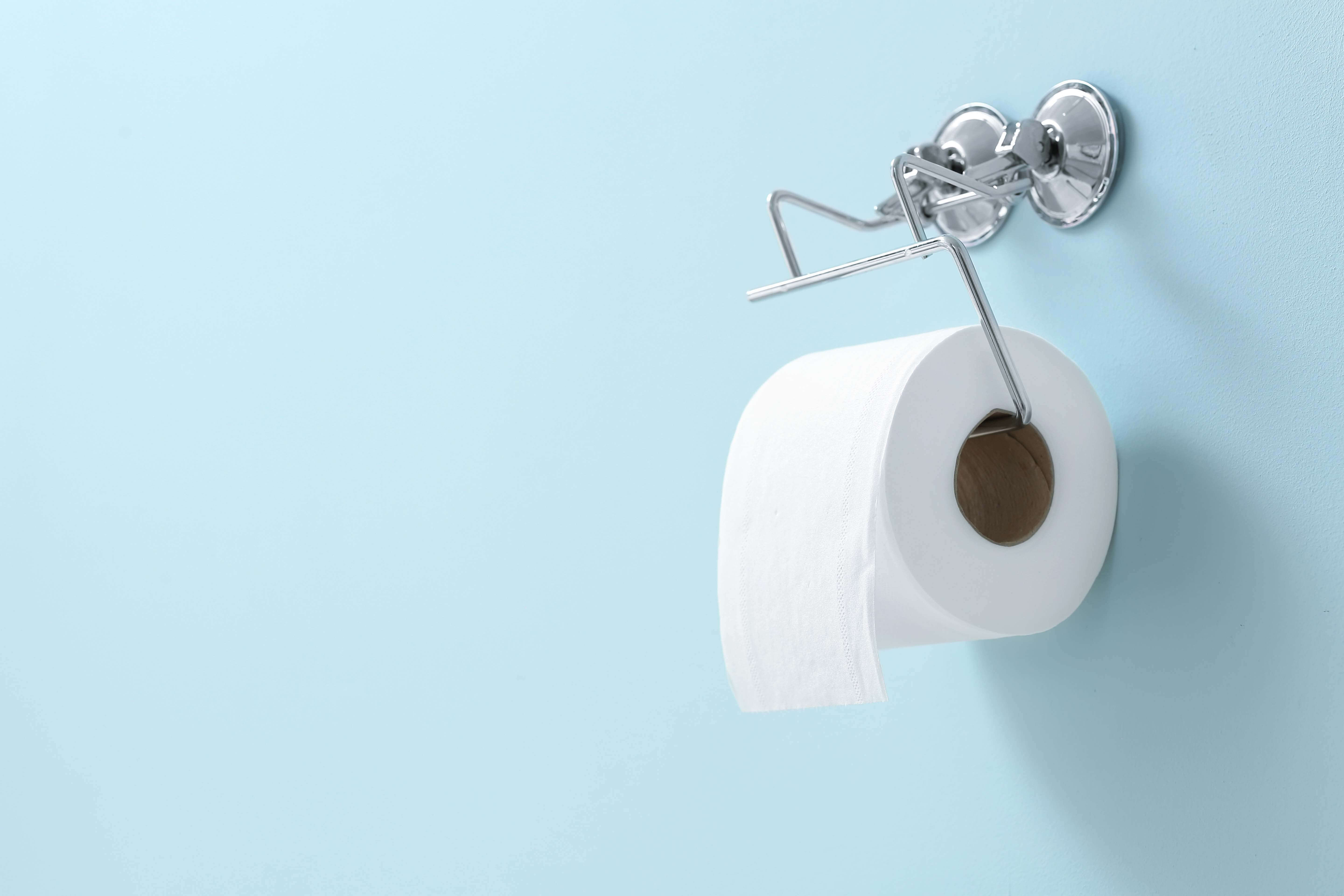An der Wand hängende Toilettenpapierrolle. © AdobeStock/Pixel-Shot