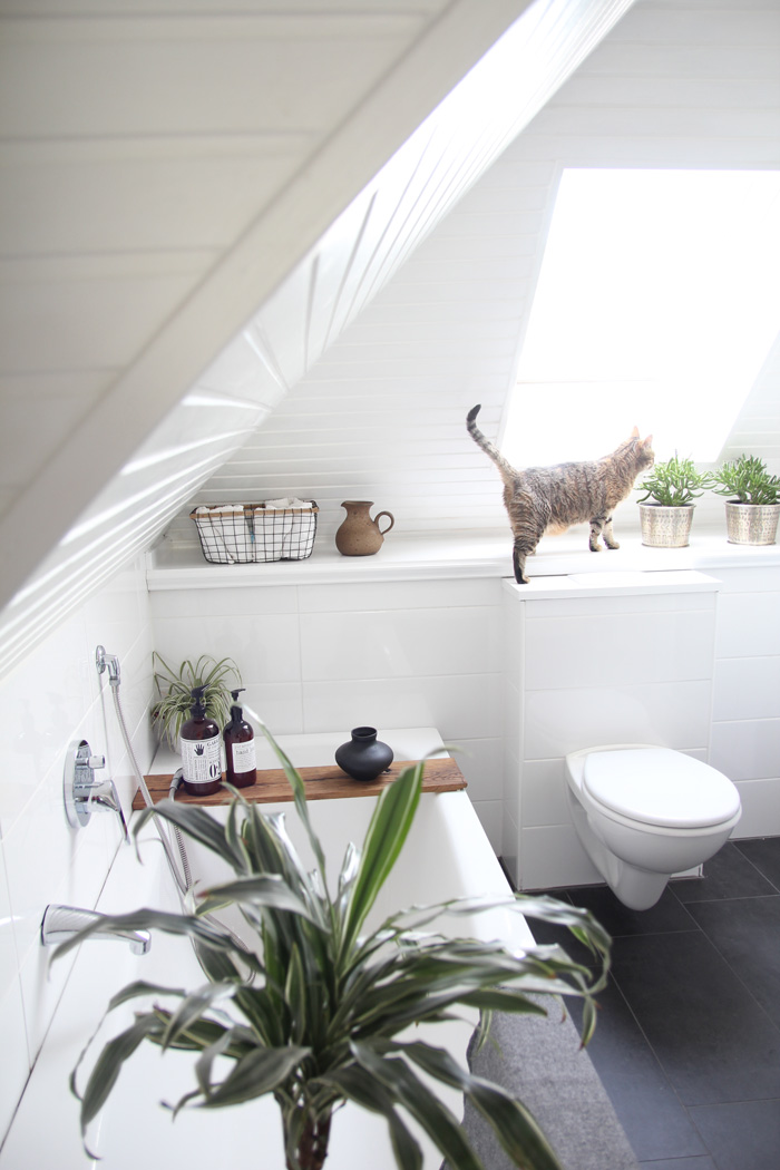 Katze Bad, Geberit AquaClean BlogBotschafterin, Dusch-WC Botschafterin, Dusch-WC Blogger, Geberit Ira, Geberit Interior Blogger, Geberit Design Dots