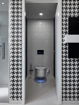 Dusch-WC im Radisson Blu